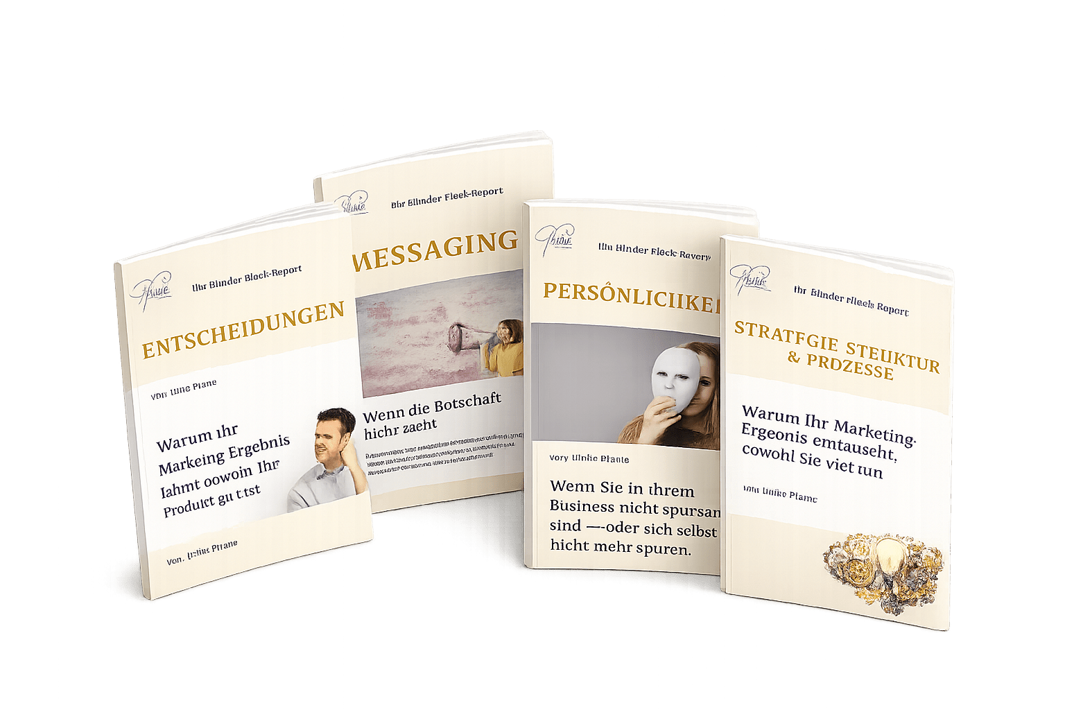 visuelle Darstellung der Blinder-Fleck-Reports